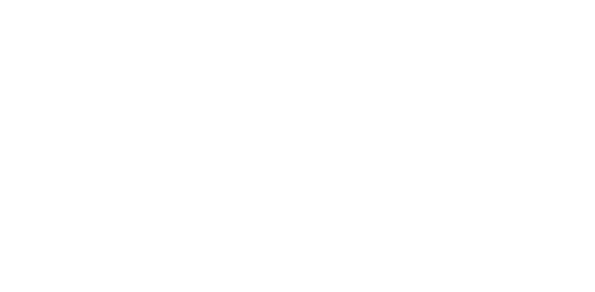 NetNam